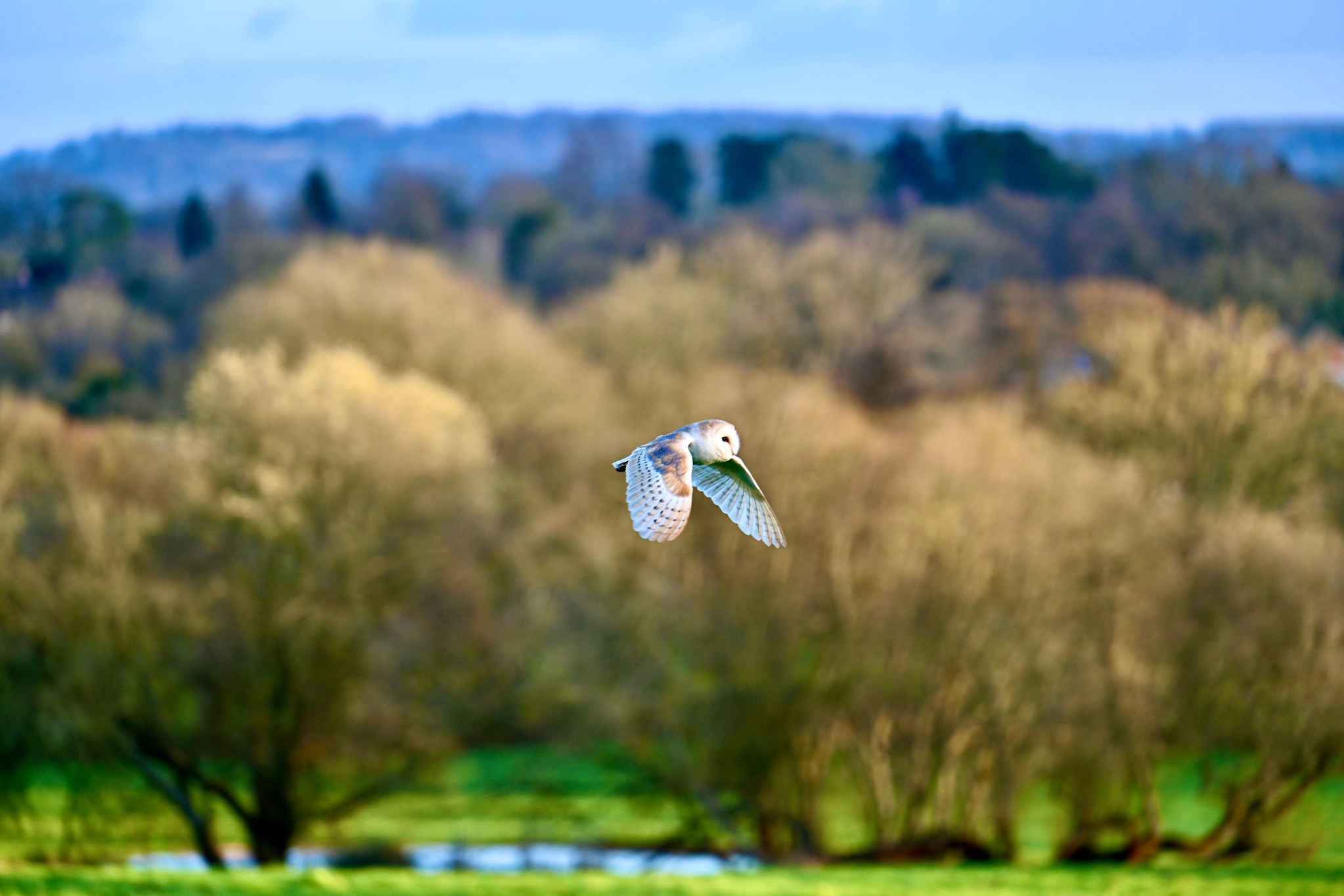 Hamstead Marshall PC